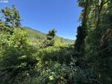  Sweet Creek Road - Photo 12