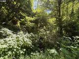  Sweet Creek Road - Photo 4