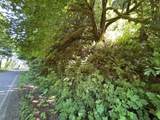  Sweet Creek Road - Photo 5