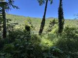  Sweet Creek Road - Photo 7