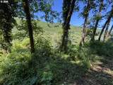  Sweet Creek Road - Photo 8