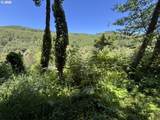  Sweet Creek Road - Photo 9