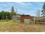 946 Echo Mountain Rd - Photo 38