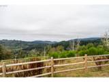 946 Echo Mountain Rd - Photo 45