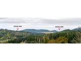 946 Echo Mountain Rd - Photo 48