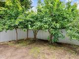 6481 142ND Ave - Photo 36