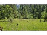  Berry Creek Rd - Photo 6