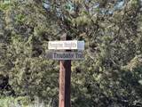  Troubador Trail - Photo 28