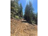  Skamania Mines Rd - Photo 17