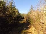 0 Wynoochee Dr - Photo 10