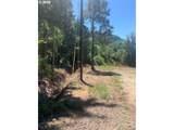 421 Wishman Dr - Photo 15