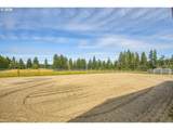 41055 Kitzmiller Rd - Photo 36