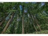 27410 Salmon River Rd - Photo 45