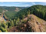  Upper Smith River Rd - Photo 1