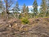  Upper Smith River Rd - Photo 29