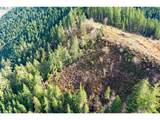  Upper Smith River Rd - Photo 3
