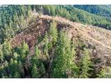  Upper Smith River Rd - Photo 4
