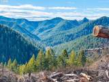  Upper Smith River Rd - Photo 42