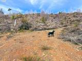  Upper Smith River Rd - Photo 46