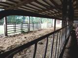 19105 Rock Creek Rd - Photo 12