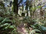 95629 Cape Ferrelo Rd - Photo 10