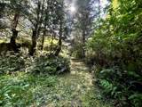 95629 Cape Ferrelo Rd - Photo 45