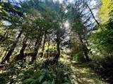 95629 Cape Ferrelo Rd - Photo 46