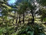 95629 Cape Ferrelo Rd - Photo 47