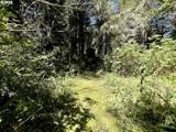 95629 Cape Ferrelo Rd - Photo 8