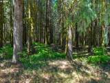 25420 Pumpkin Ridge Rd - Photo 18