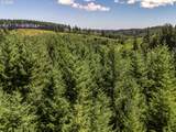 25420 Pumpkin Ridge Rd - Photo 33