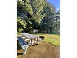 62951 10TH Rd - Photo 12