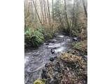 000 Alsea Hwy - Photo 1