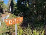 000 Alsea Hwy - Photo 12