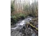 000 Alsea Hwy - Photo 2