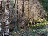 000 Alsea Hwy - Photo 21