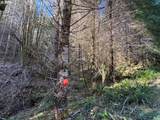 000 Alsea Hwy - Photo 22