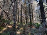 000 Alsea Hwy - Photo 26