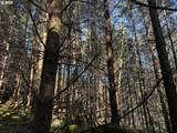 000 Alsea Hwy - Photo 27
