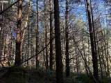 000 Alsea Hwy - Photo 28
