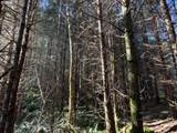 000 Alsea Hwy - Photo 29