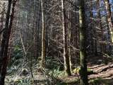 000 Alsea Hwy - Photo 30