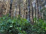000 Alsea Hwy - Photo 32