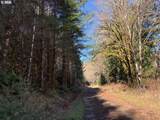 000 Alsea Hwy - Photo 33
