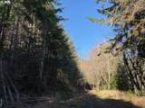 000 Alsea Hwy - Photo 34