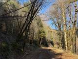000 Alsea Hwy - Photo 36