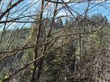 000 Alsea Hwy - Photo 37
