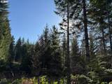 000 Alsea Hwy - Photo 38
