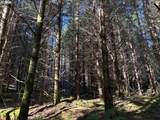 000 Alsea Hwy - Photo 4