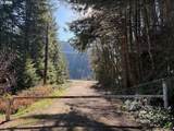 000 Alsea Hwy - Photo 41